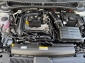 VW Polo Life LED*Navi vApp*Kamera*Tempomat*Garantie