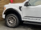 Ford F 150 5.0L ROUSH 4x4 Leder CarPlay AHK 360°
