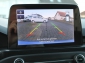 Ford Focus ST-Line X / Matrix-LED / Head Up / Digi