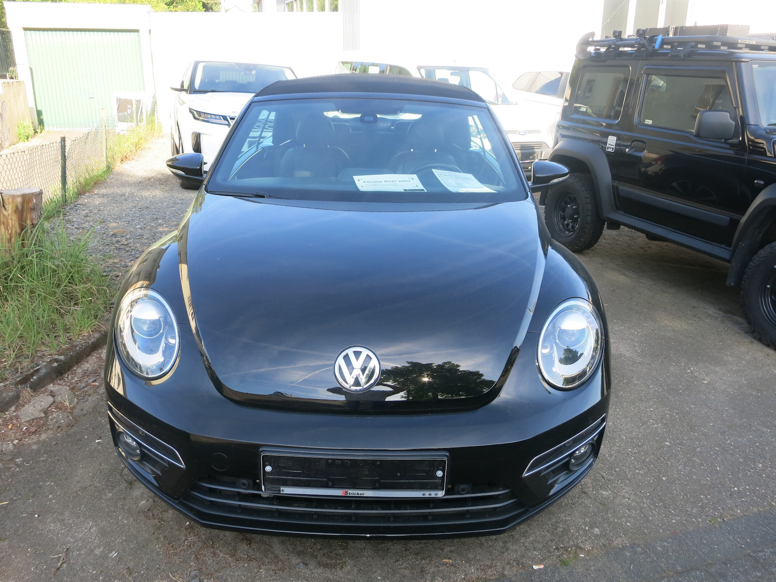 Volkswagen Beetle