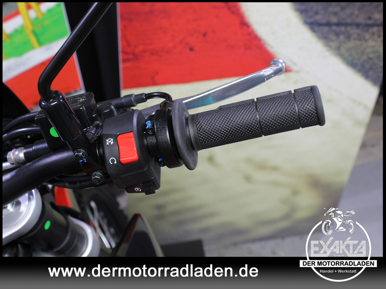 Bild 19