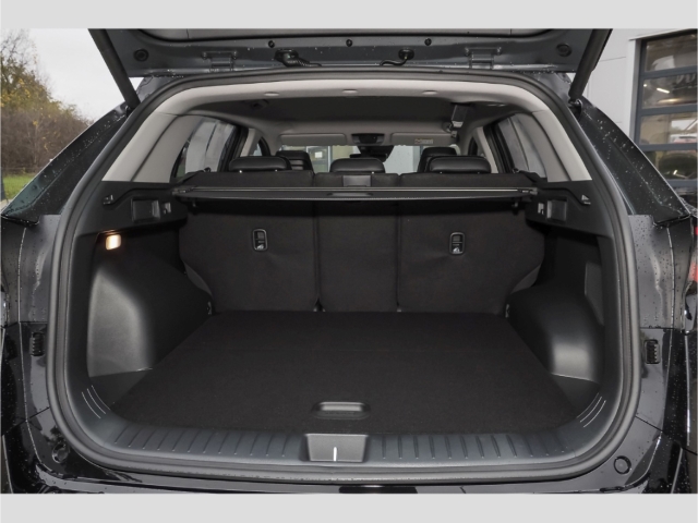 Kia Sportage – Bild 6