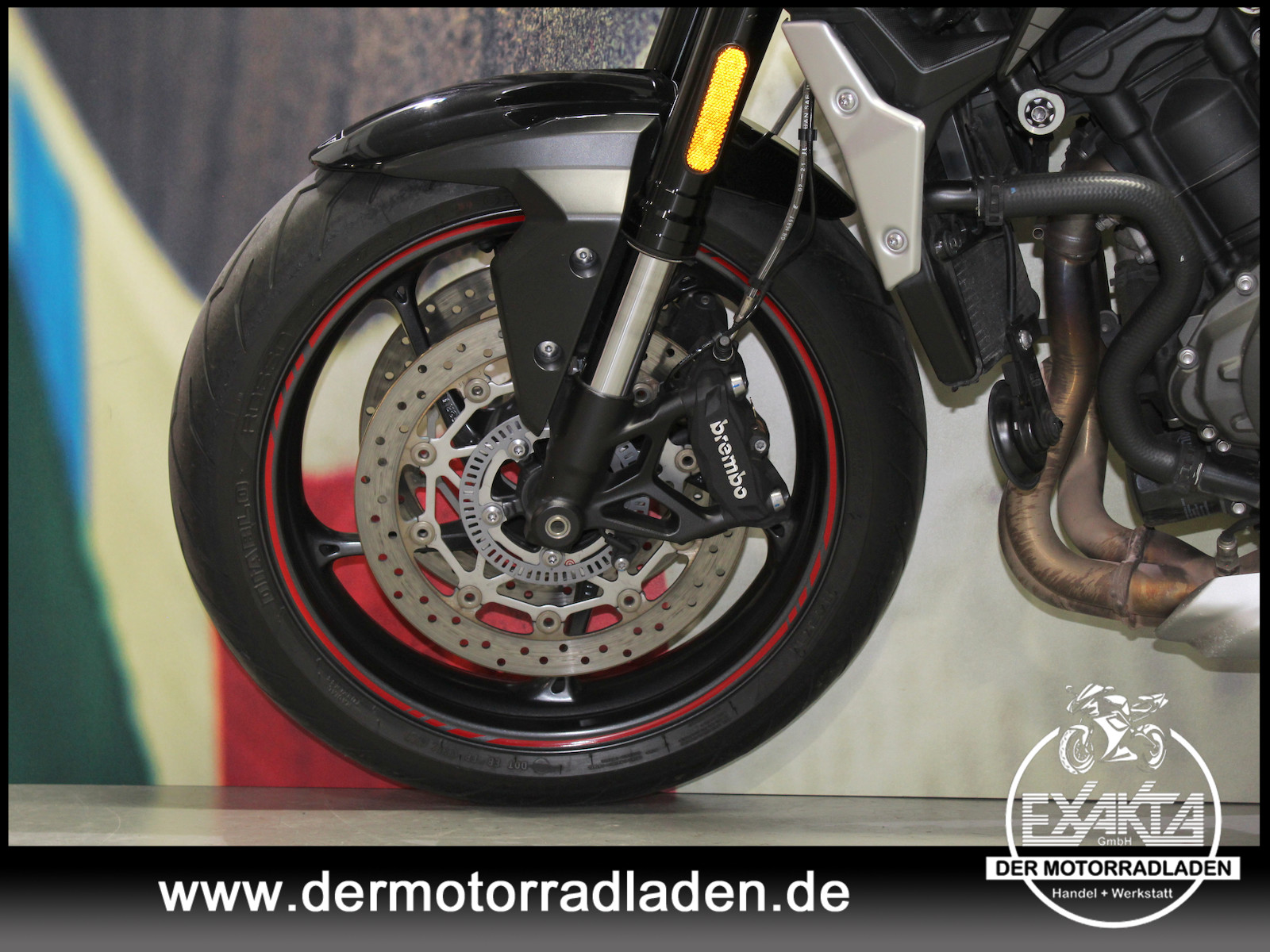 Bild 21