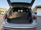 VW Tiguan Allspace R-Line / 4Motion / Pano / AHK