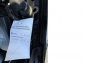 Opel Astra Business 1,5 CDTI Aut Navi LED Kamera Temp PDCv+h E6