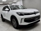 VW Tiguan 2.0 TDI DSG Life Design-Paket Navi RCam AHK