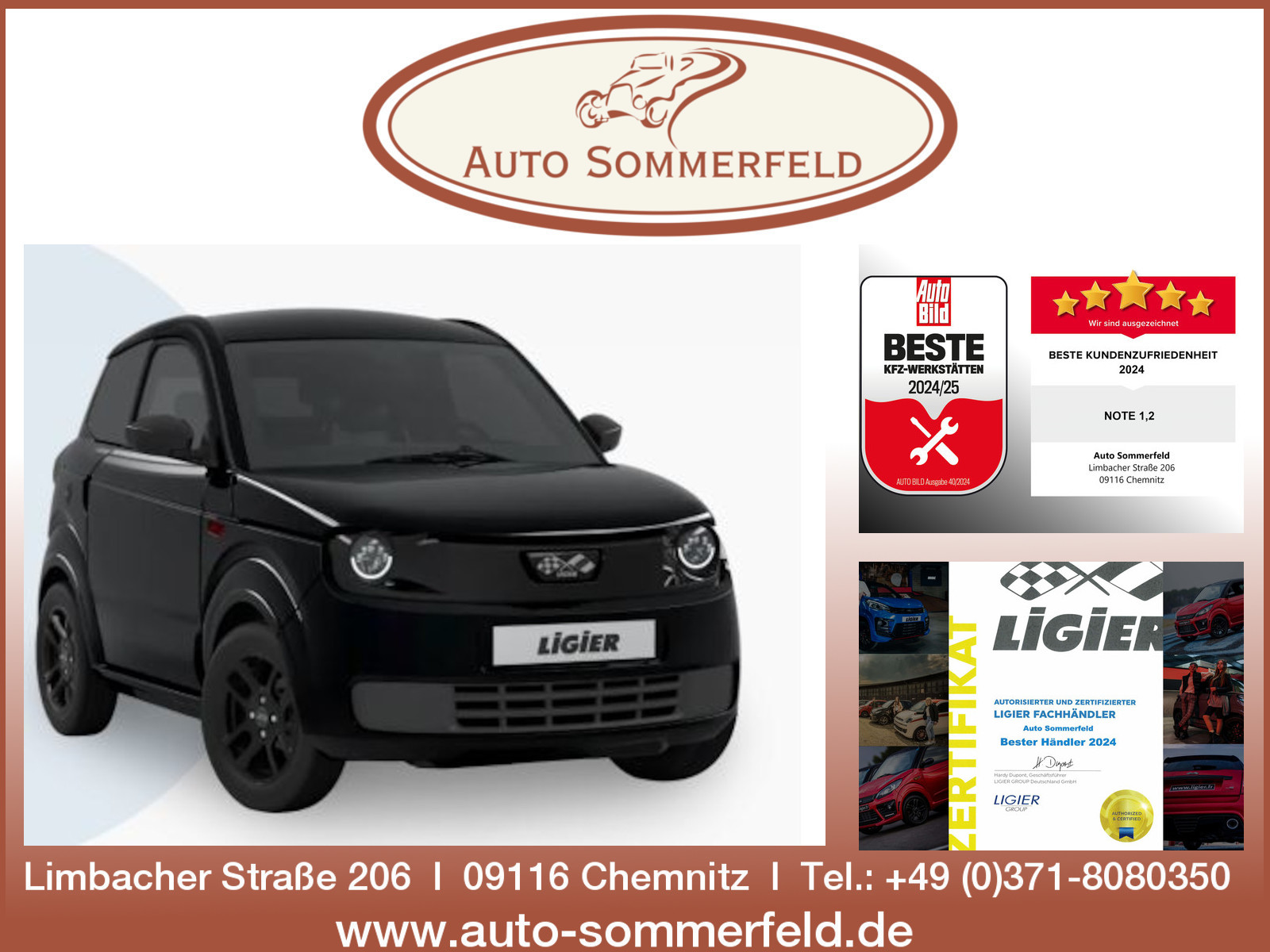 Ligier Andere