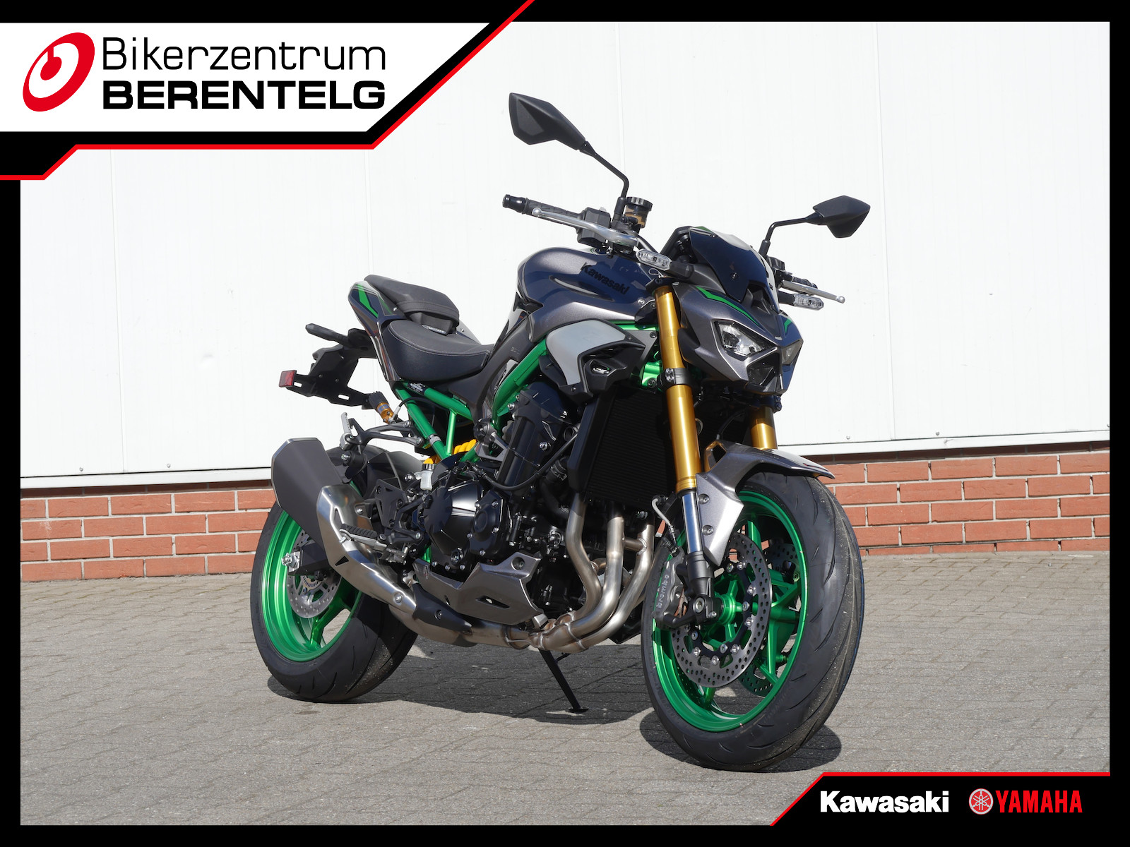 Kawasaki Z900SE Metallic Matte Gray