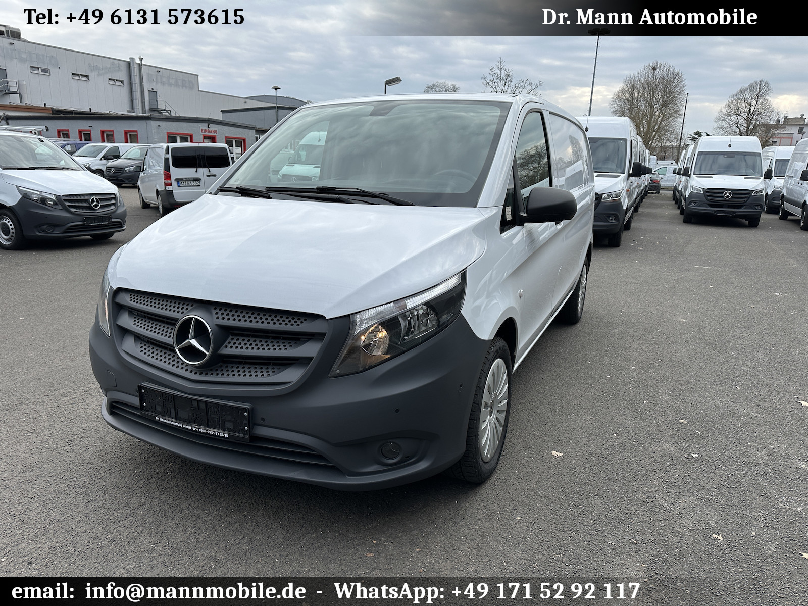 Mercedes-Benz Vito Kasten 4x4
