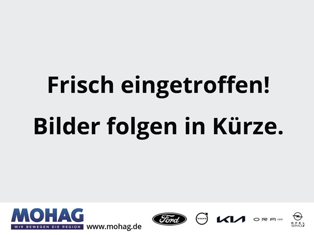 Ford Transit Connect Kasten 1.0 EcoBoost EU6d Kastenwagen LKW Trend