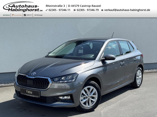 Skoda Fabia