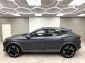 Cupra Formentor 2.0 TDI 4Drive MATT Pano ACC AHK Beats 2xSpur