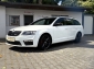 Skoda Octavia RS / Automatik / Navi / Panorama / Xenon