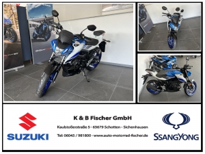 Suzuki GSX-S 125 RLXM5