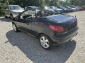 Peugeot 206 CC Platinum Leder Klima SHZ