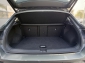 VW T-Roc 4Motion R-Line Pano KeylessGO