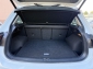 VW Tiguan R-Line / 4Motion / Pano / Kamera / AAC