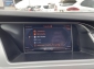 Audi A4 3.0 TDi Quattro B&O ACC Kamera Standheizung