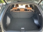 SsangYong Torres 1.5 Forest Edition AT SsangYong Torres 1.5 Forest Edition AT