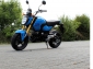Honda MSX 125 GROM ABS+LED !! Herbstaktion !!