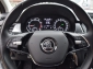 Skoda Fabia Combi Best of DSG GRA-ACC*LED*SmartLink+