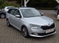 Skoda Fabia Combi Best of DSG GRA-ACC*LED*SmartLink+