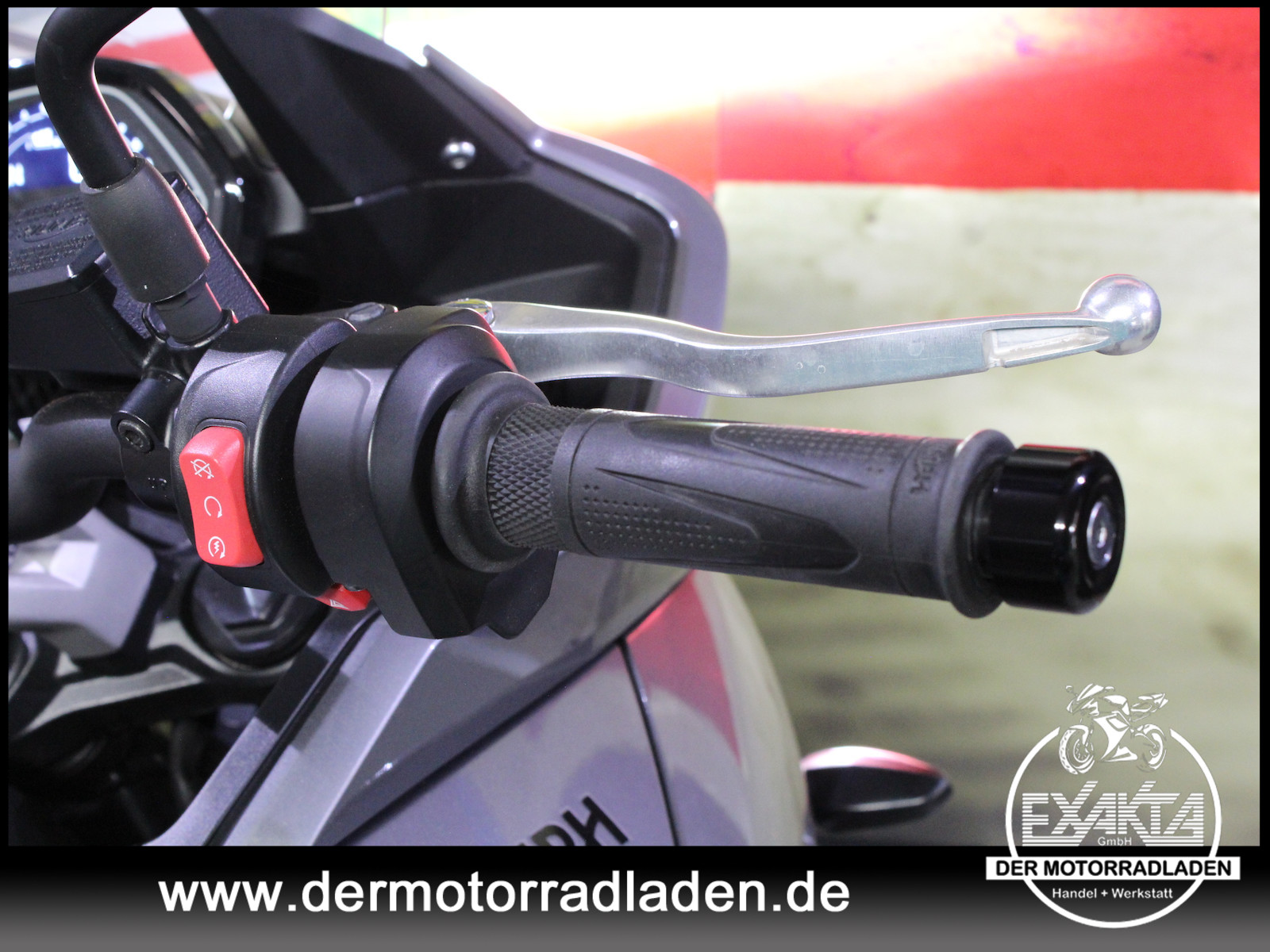 Bild 19