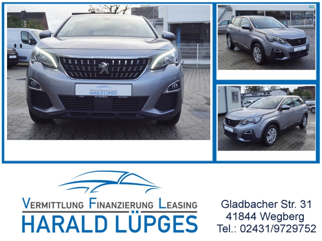 Peugeot 3008 Active Business, Navi, RFK, digitaler Tacho