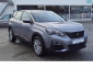 Peugeot 3008 Active Business, Navi, RFK, digitaler Tacho