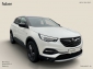Opel Grandland X Grandland X 1.2 Turbo Benzin Design Line Automatik