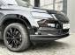 Skoda Karoq Clever KeylessGO Kamera 36Tkm