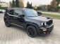 Jeep Renegade *Navi, unfallfrei*