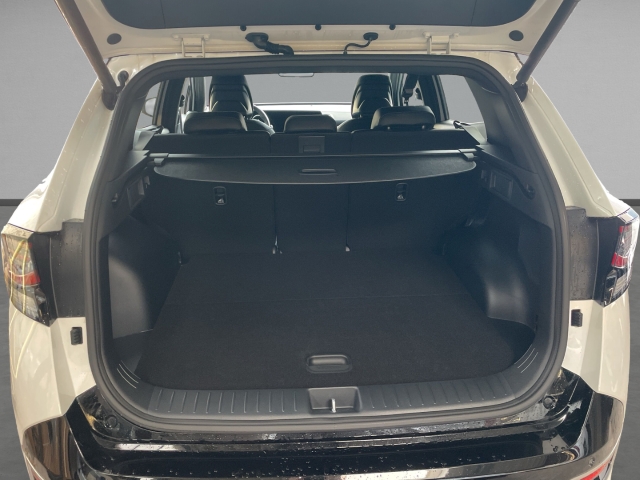 Kia Sportage – Bild 5