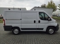 Fiat Ducato Kasten