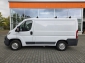 Fiat Ducato Kasten