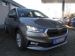 Skoda Fabia AC/SHZ/PDC/GRA/Keyless-Start/MFL