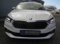 Skoda Fabia AC/SHZ/PDC/GRA/Keyless-Start/MFL