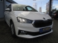 Skoda Fabia AC/SHZ/PDC/GRA/Keyless-Start/MFL