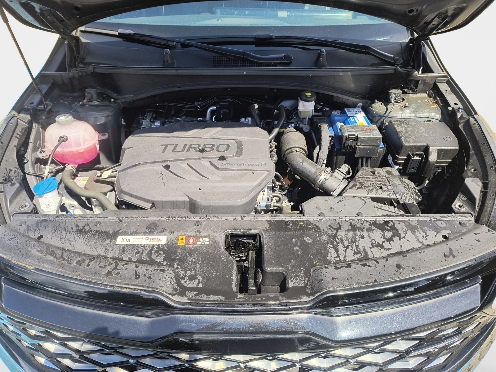 Kia Sportage – Bild 13