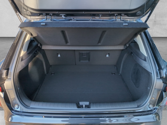 Kia K4 – Bild 5