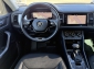 Skoda Kodiaq 2.0 TDi 4x4 DSG Virtual Matrix 360� Kamera
