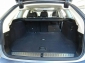 BMW 520 xDrive d Tour Autom,Ledersitze,AHK,ACC,360�