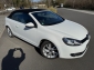 VW Golf Cabriolet Leder Sth WR SteuerkNeu Xenon 1a