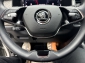 Skoda Kodiaq 2.0 TDI Style StHz Matrix ACC Mem AHK RCam