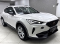 Cupra Formentor 1.4 eHybrid ACC Rcam Ambient Full Link