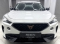 Cupra Formentor 2.0 TDI 4Drive ACC Navi 360� Apple LED DAB DiCkpt