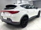 Cupra Formentor 2.0 TDI 4Drive ACC Navi 360� Apple LED DAB DiCkpt