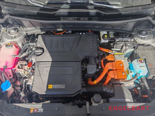 Kia Niro – Bild 14