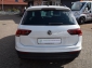 VW Tiguan 2,0 TDI DSG Business Navi*ACC*PDC*App Con
