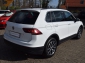 VW Tiguan 2,0 TDI DSG Business Navi*ACC*PDC*App Con